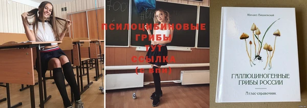 дурь Вязьма